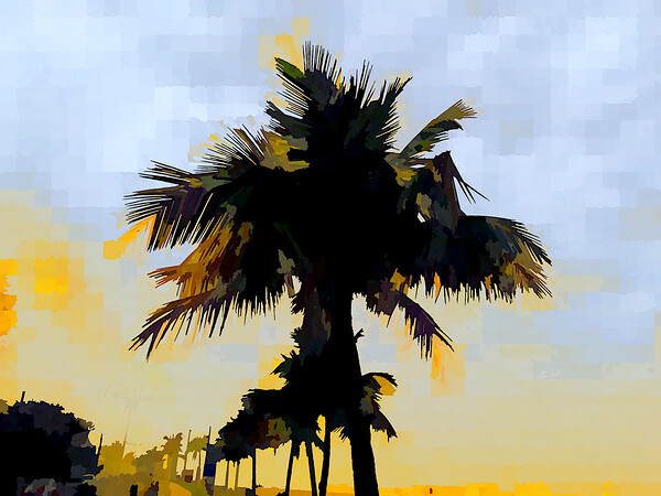 Coconut trees. Print