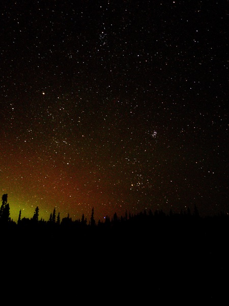 Starry Sky Print