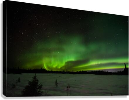 Aurora Borealis Canvas Print
