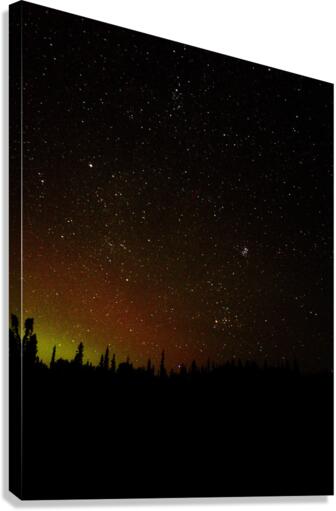 Starry Sky Canvas Print