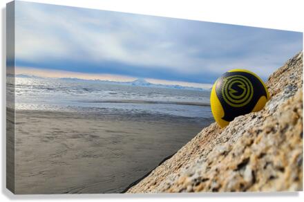 Spikeball Canvas Print
