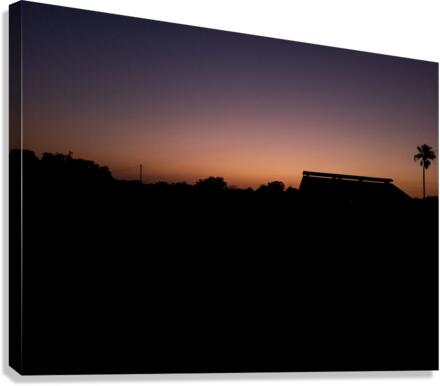 Silhouetted  Canvas Print