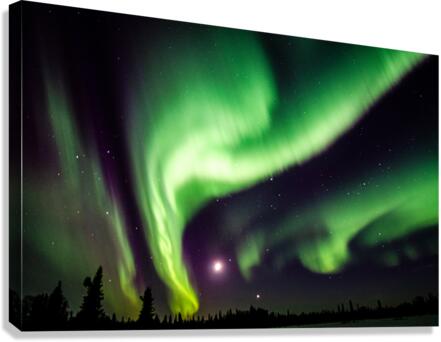 Aurora Canvas Print