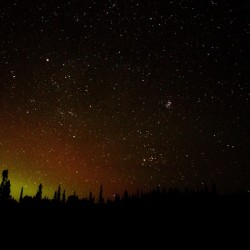 Starry Sky