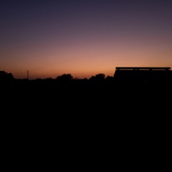 Silhouetted 