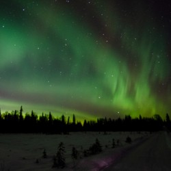 Northern Lights