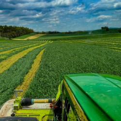 Farming