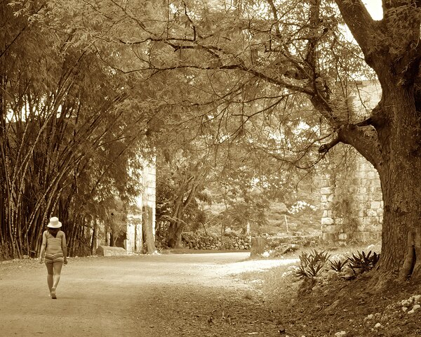 girl on a walk Print