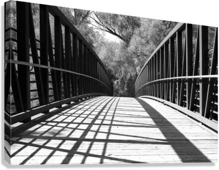 the bridge Canvas Print
