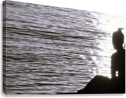 reflection Canvas Print