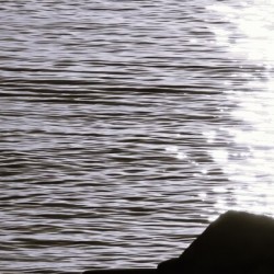 reflection