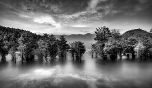 Echoes of Old Butler Under Watauga Lake Tennessee -  Black and White