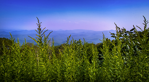 Scenic Panorama of Blue Ridge Mountains NC