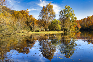 Erwin Tennessee Moments   Pat Brown Geese Pond 1   Evening Reflections