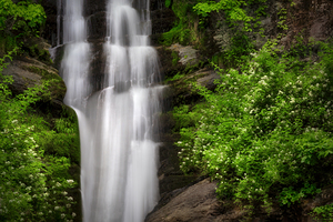 Toms Creek Falls