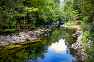 Whitetop Laurel Creek on Virginia Creeper Trail in Damascus
