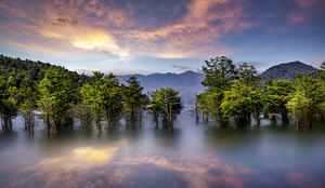 Old Butler Ghost Town at Watauga Lake Northeast Tennessee