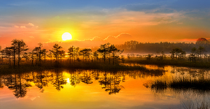 Golden Hour in the Florida Wetlands   Sunset Reflections