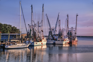 Shrimpboats on Shem Creek Waterfront