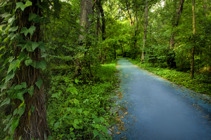 Mountain River Trail