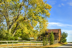 Appalachian Autumn on Tennessee Farm