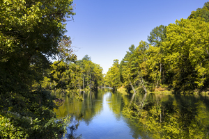 Pastoral Autumn Scene on South Holston River