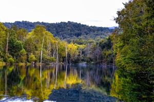 South Holston River – Autumn Gray Sky