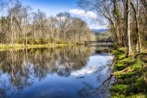Early Spring on South Fork II