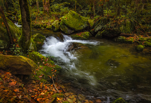 Cascade at Rocky Fork II