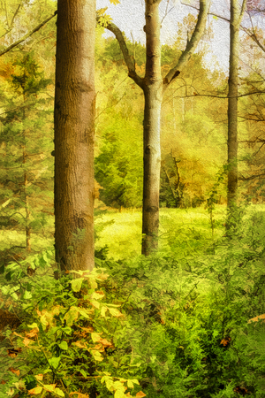 The Changing Seasons