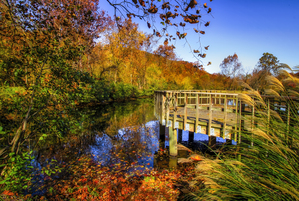 Autumn at Erwin Tennessee