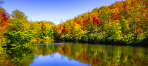 Falling in Love with Autumn Panorama