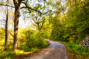 Country Road in Autumn