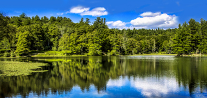 Blue Ridge Parkway Bass Lake NC