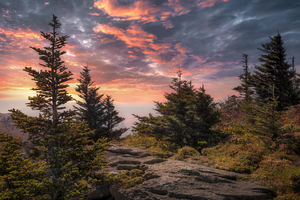 Waiting for the Storm to Pass...