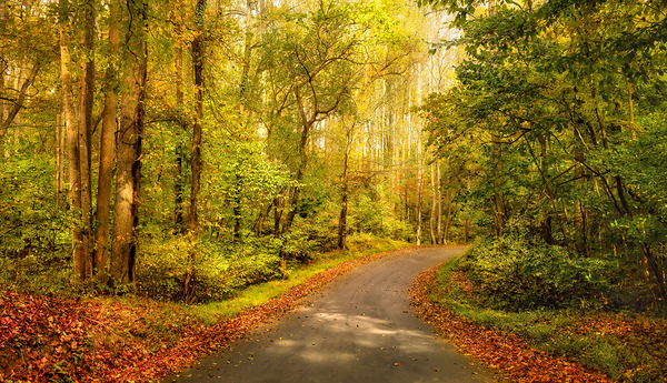 Backroads of Appalachia in Autumn Print
