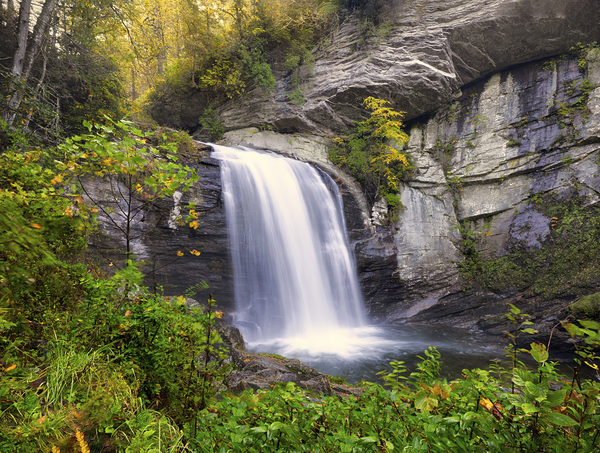 Looking Glass Falls in Autumn Print