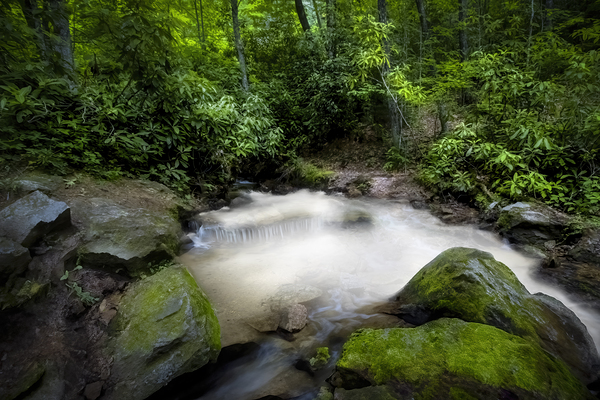 Cascade in the Mountains Print