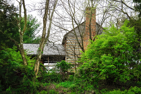 Historic Rocky Mount Print