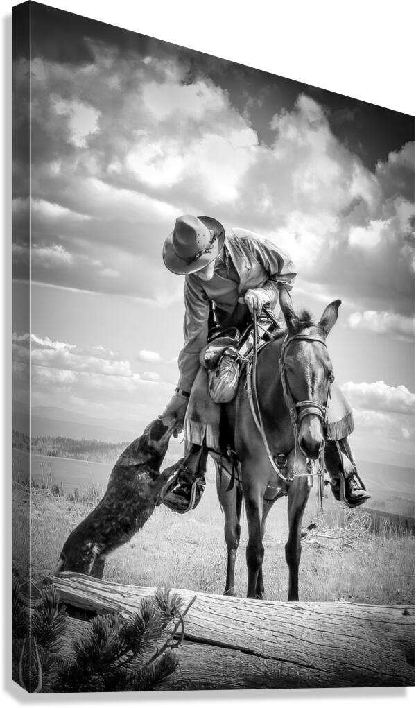 Lone Figure on Trail Ride Canvas Print