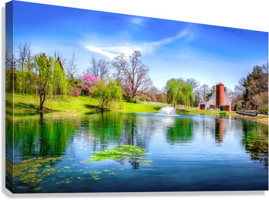 Allandale Lake in Spring Canvas Print