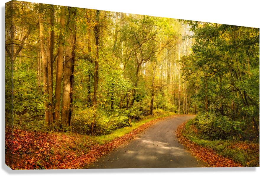 Backroads of Appalachia in Autumn Canvas Print
