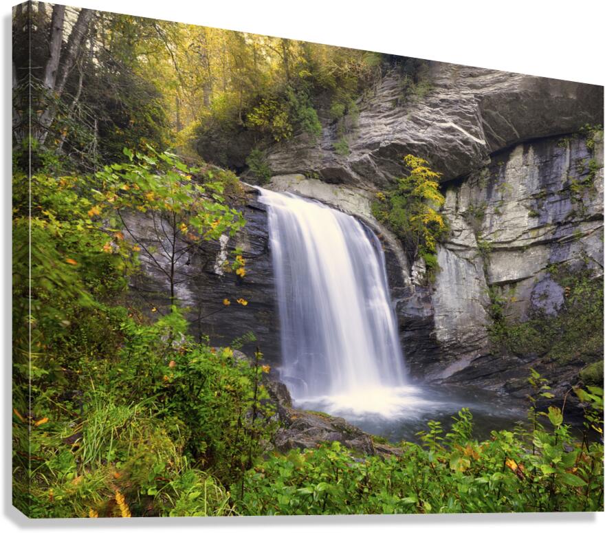Looking Glass Falls in Autumn Canvas Print