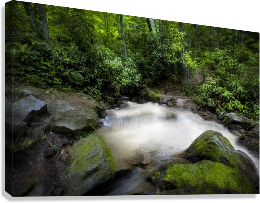 Cascade in the Mountains Canvas Print