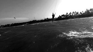 Jenny Cosmic Babarete Bay 22 BWAugust 2024