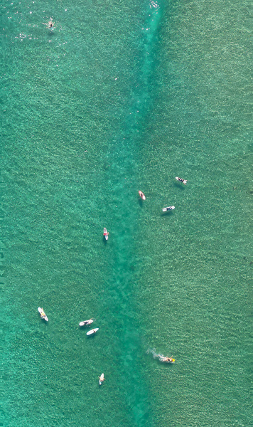 SwellWait by davidjohns