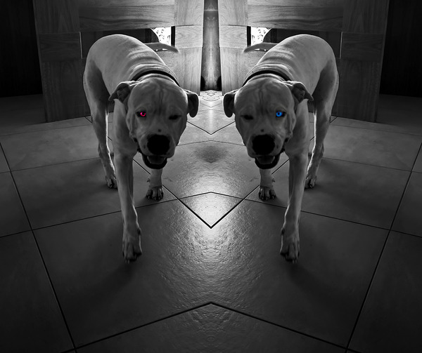 Deamonic Angel Print