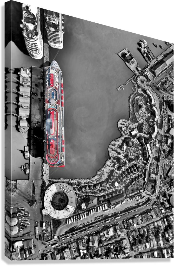 Blody Virgin II Canvas Print