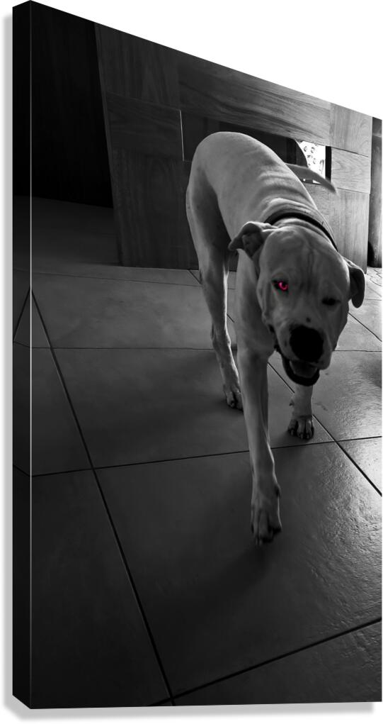 Deamon  Canvas Print