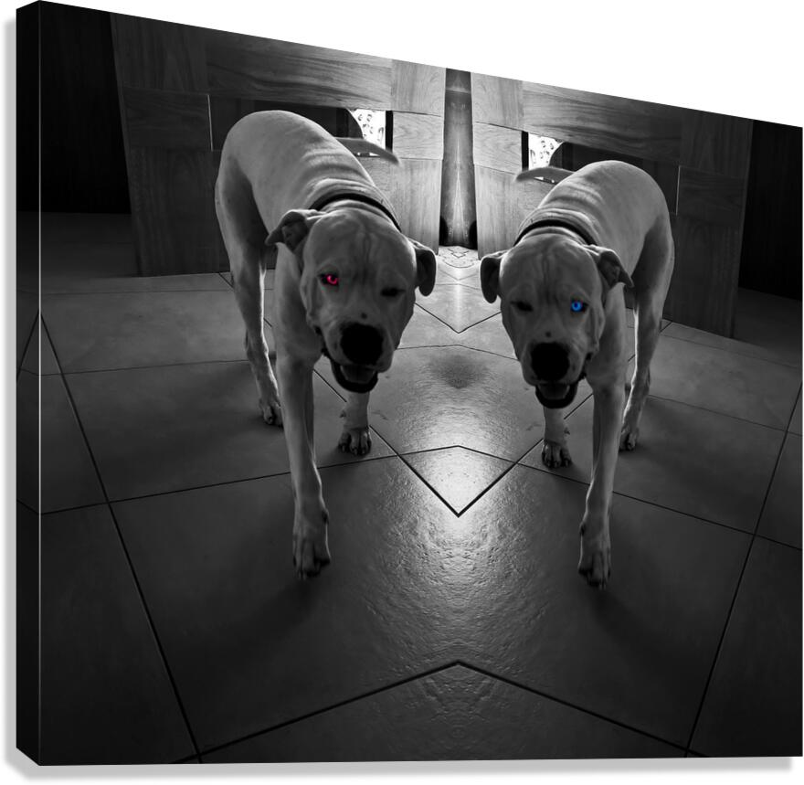 Deamonic Angel Canvas Print